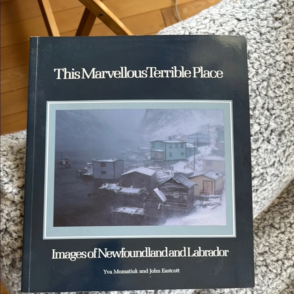 This Marvellous Terrible Place Book - Picture 1 of 5